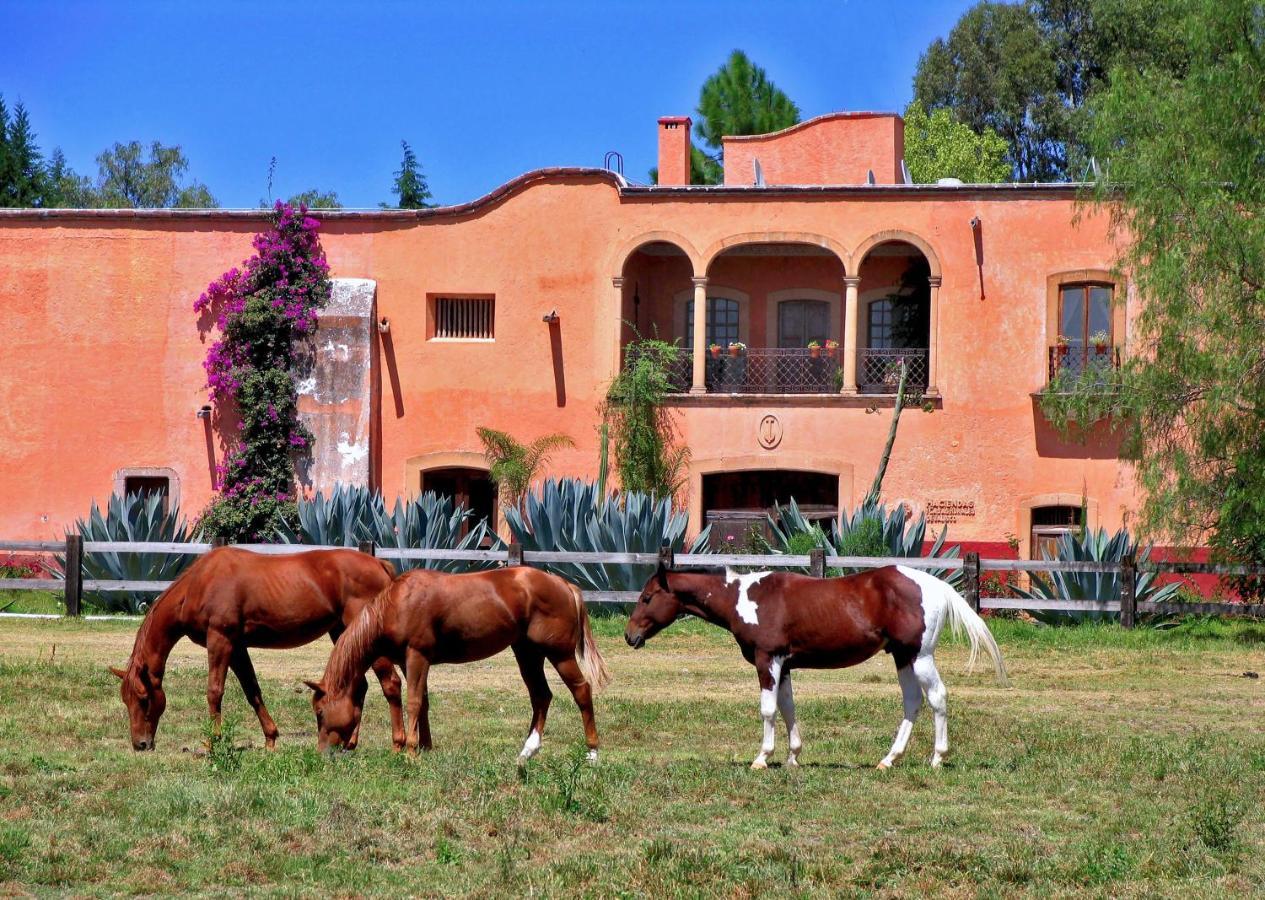 Hacienda Sepulveda Hotel & Spa (Adults Only) ラゴス・デ・モレノ エクステリア 写真